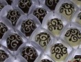 /album/doces-e-bombons/a318272-107033162765904-296974811-n-jpg/